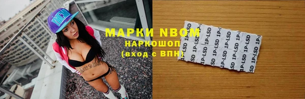 хмурый Алексин
