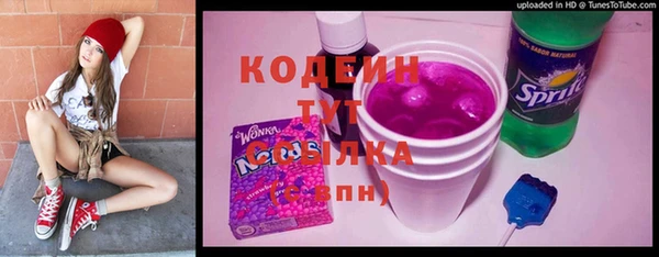 хмурый Алексин