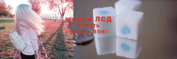 эйфоретик Алзамай