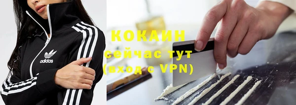 хмурый Алексин