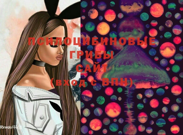 альфа пвп Алексеевка