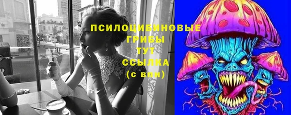 эйфоретик Алзамай