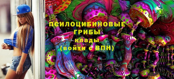хмурый Алексин
