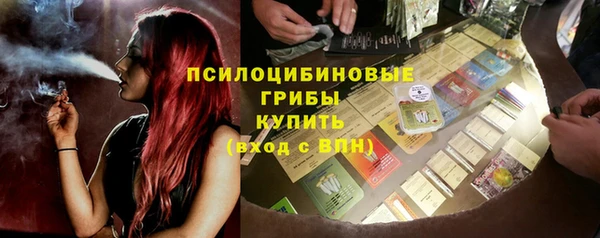 эйфоретик Алзамай